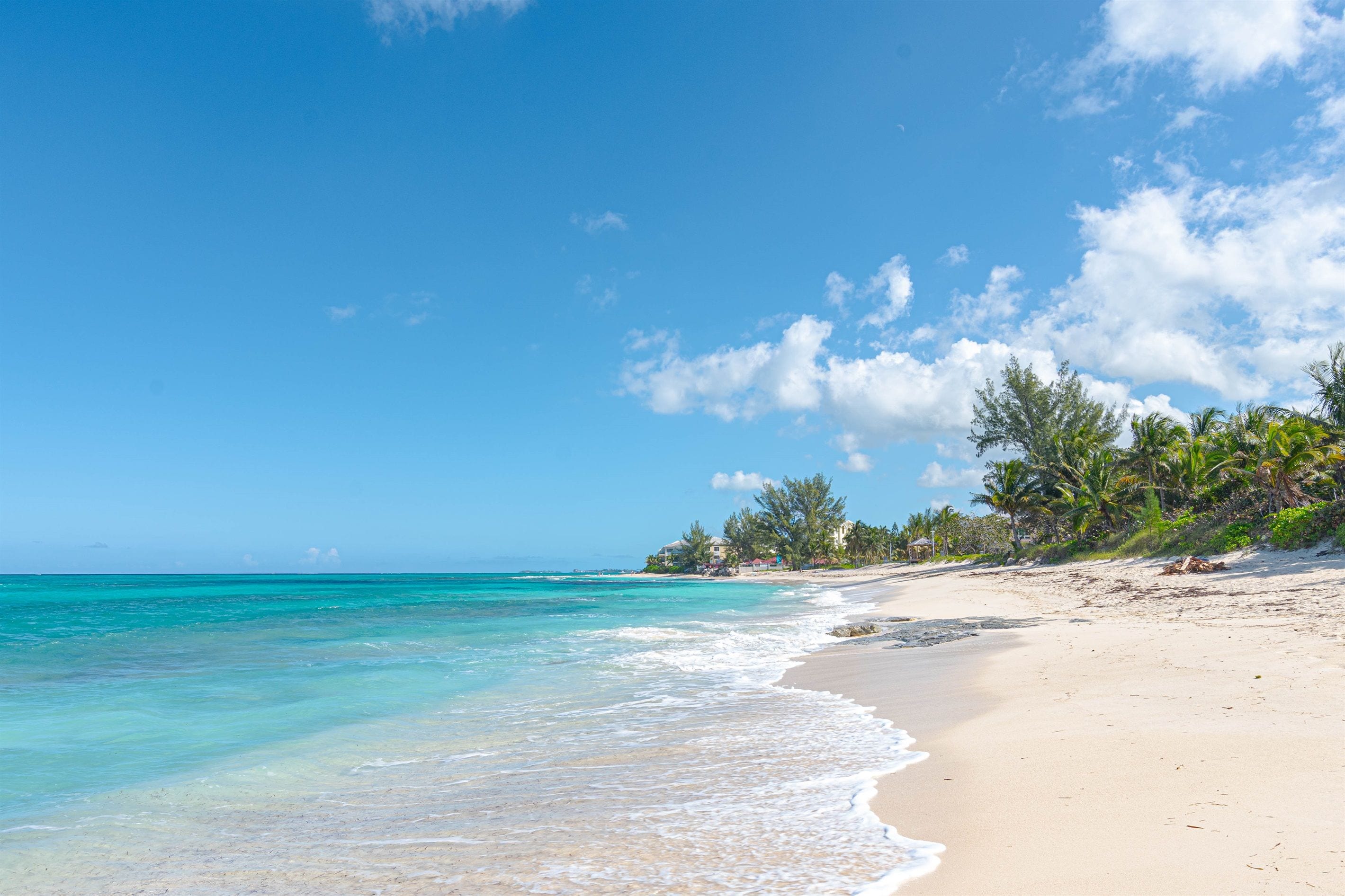 A beach with clear turquoise water, sandy shore, and palm trees.