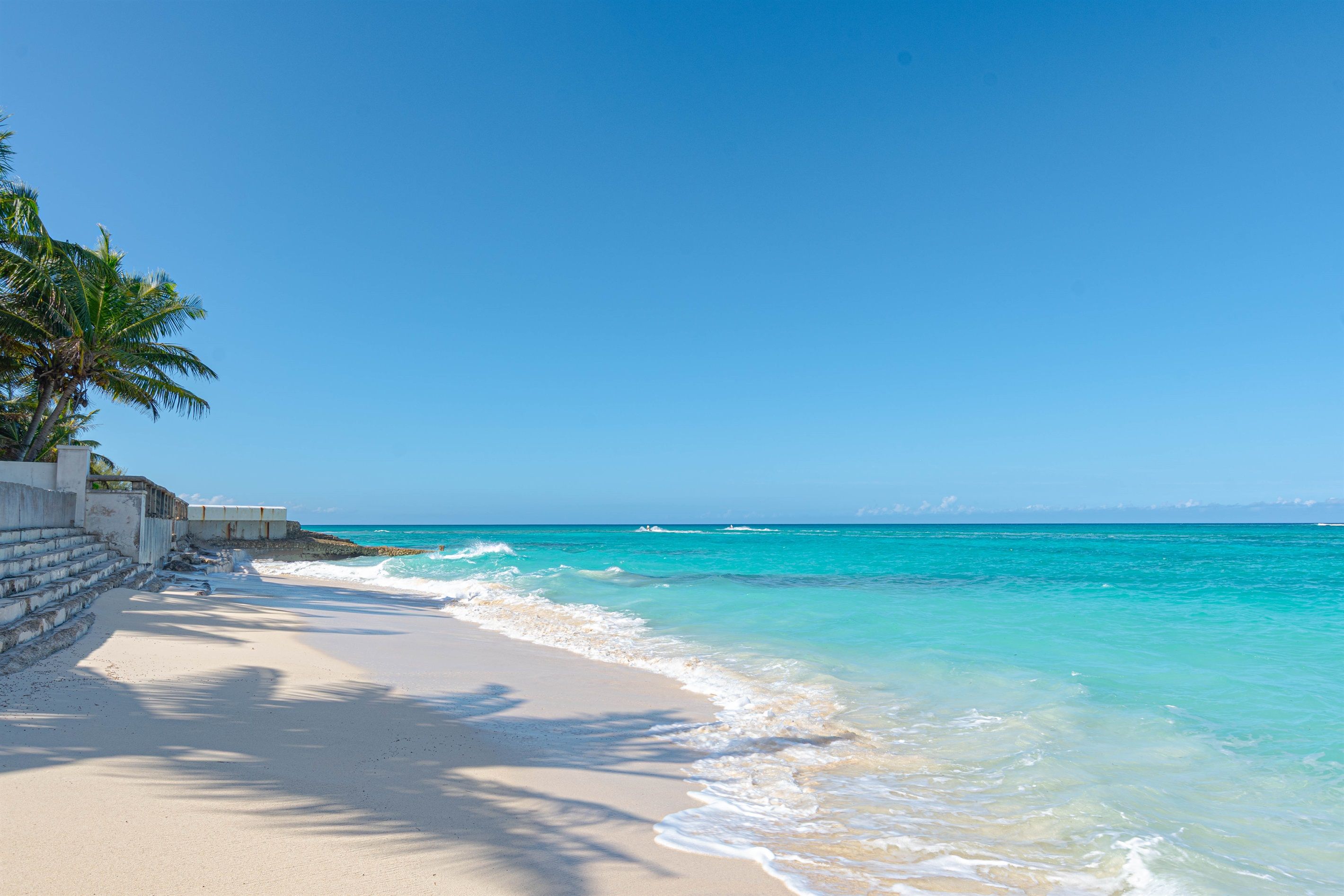 Ein Strand mit klarem türkisblauem Wasser, sandigem Ufer und einer Palme.