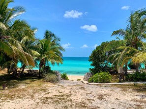 Ein Strand mit Palmen und freiem Blick auf das Meer.