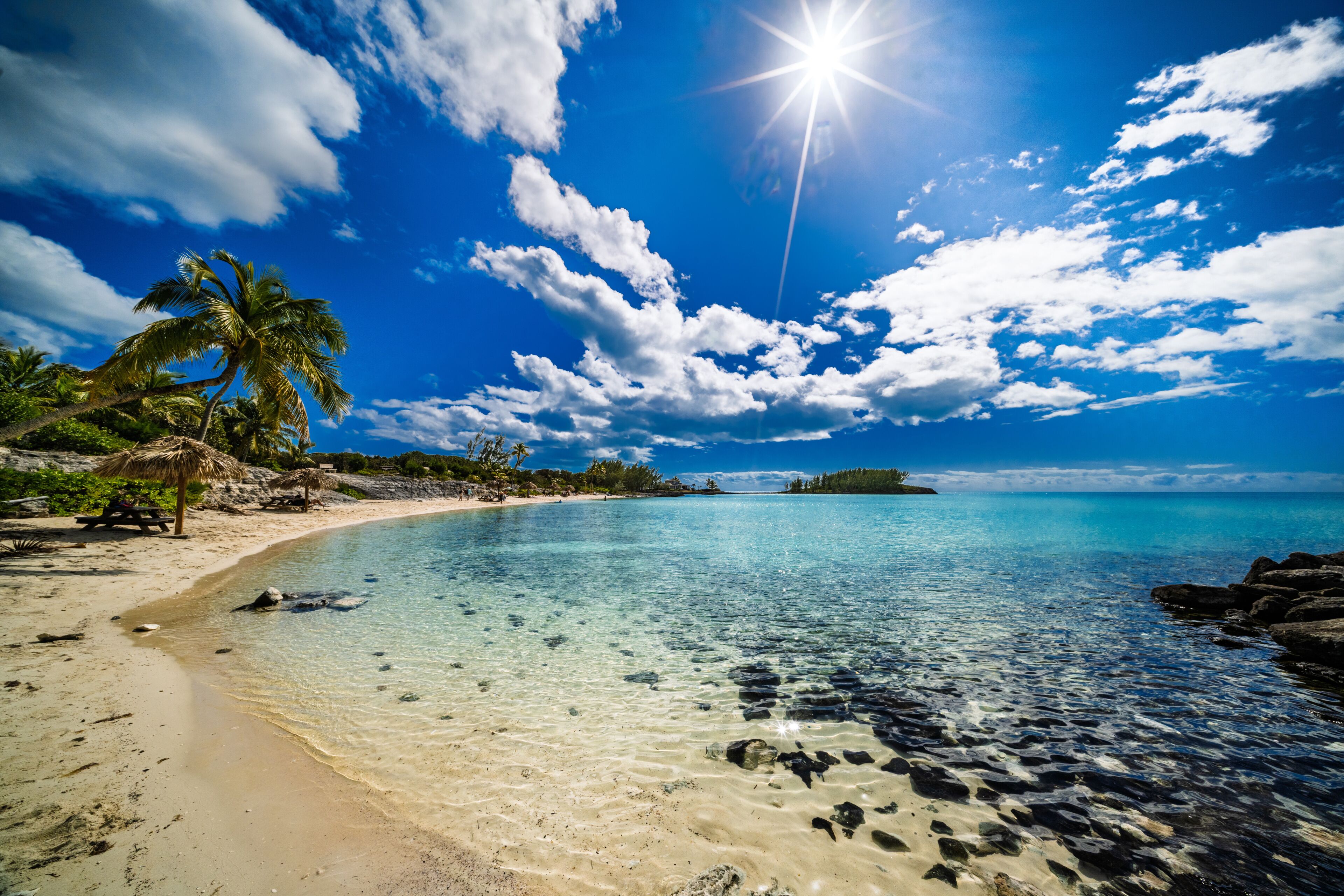 A beach with clear turquoise water, a palm tree, and a thatched hut.