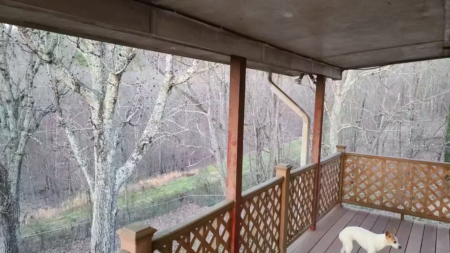 Een houten terras met een latten hekwerk met uitzicht op een bebost gebied.