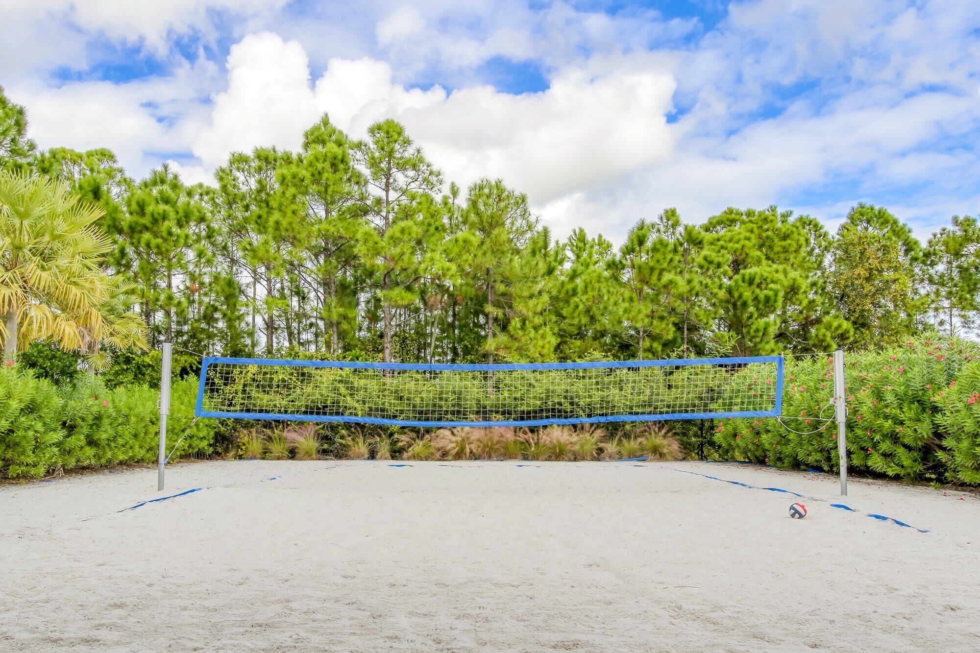 A volleyball net set up on a sandy surface with a backdrop of dense green trees and a partly cloudy sky.