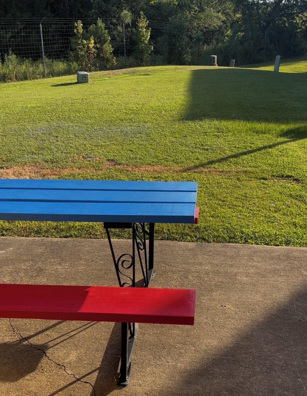 A blue and red bench in a park with a grassy field and trees in the background.