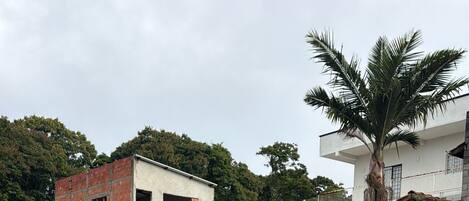 A swimming pool with stone tiles, a brick building, and a palm tree.