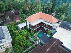 A modern house with a swimming pool, surrounded by lush greenery and palm trees.