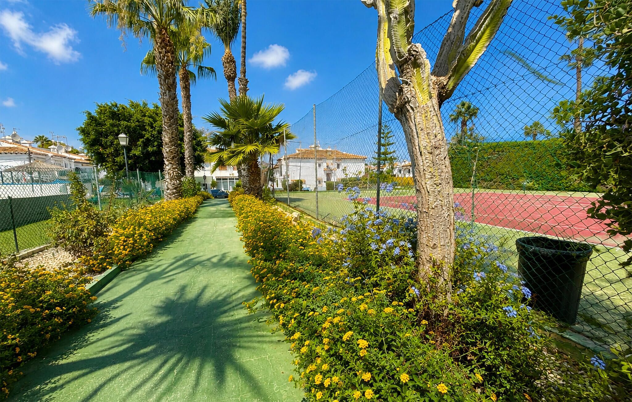A pathway flanked by yellow flowers and palm trees, leading to a sports field.