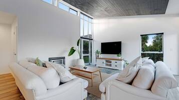 Fernseher, Kamin