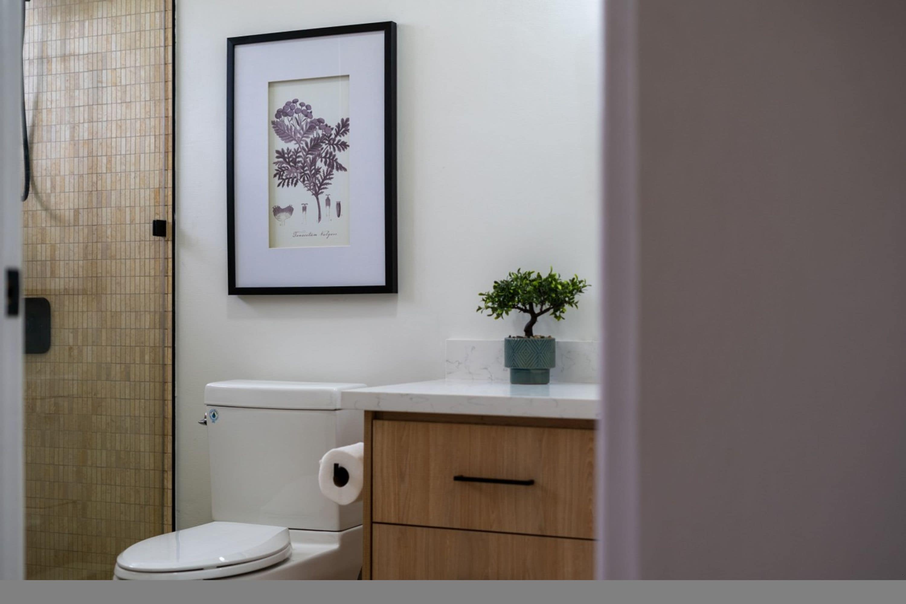 A bathroom with a toilet, a framed botanical illustration, and a small potted plant on the counter.