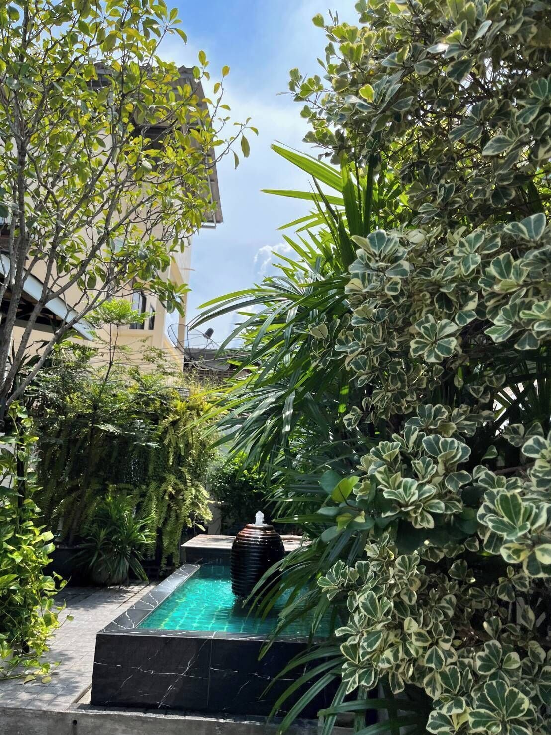A garden with a swimming pool, surrounded by lush greenery and a building in the background.