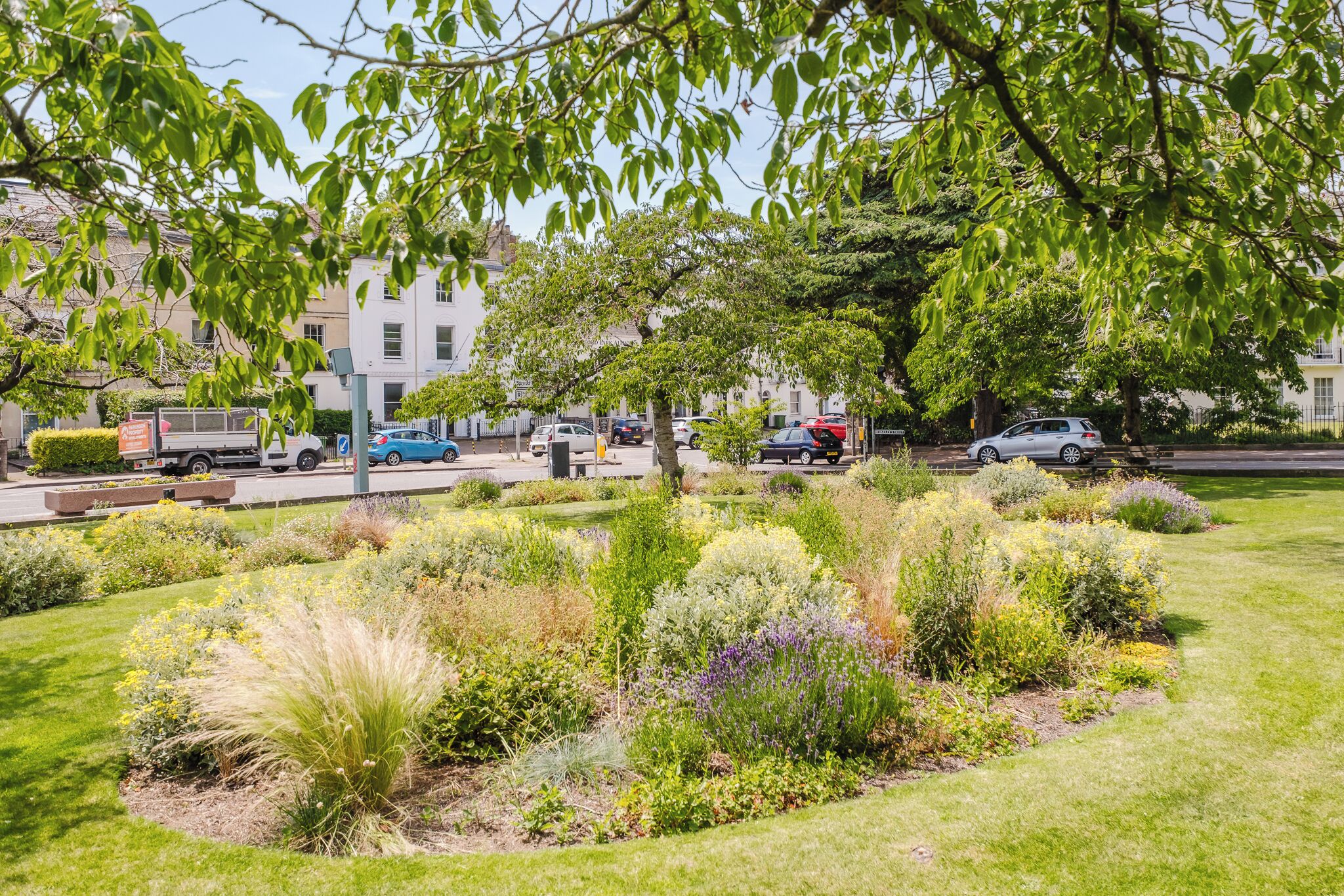 Un jardin aménagé avec différentes espèces de plantes et un espace de stationnement pour voitures.