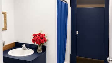 Shower, towels, toilet paper