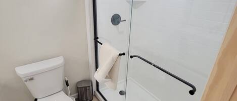 A bathroom with a toilet, a glass shower enclosure, and a small shelf with toiletries.