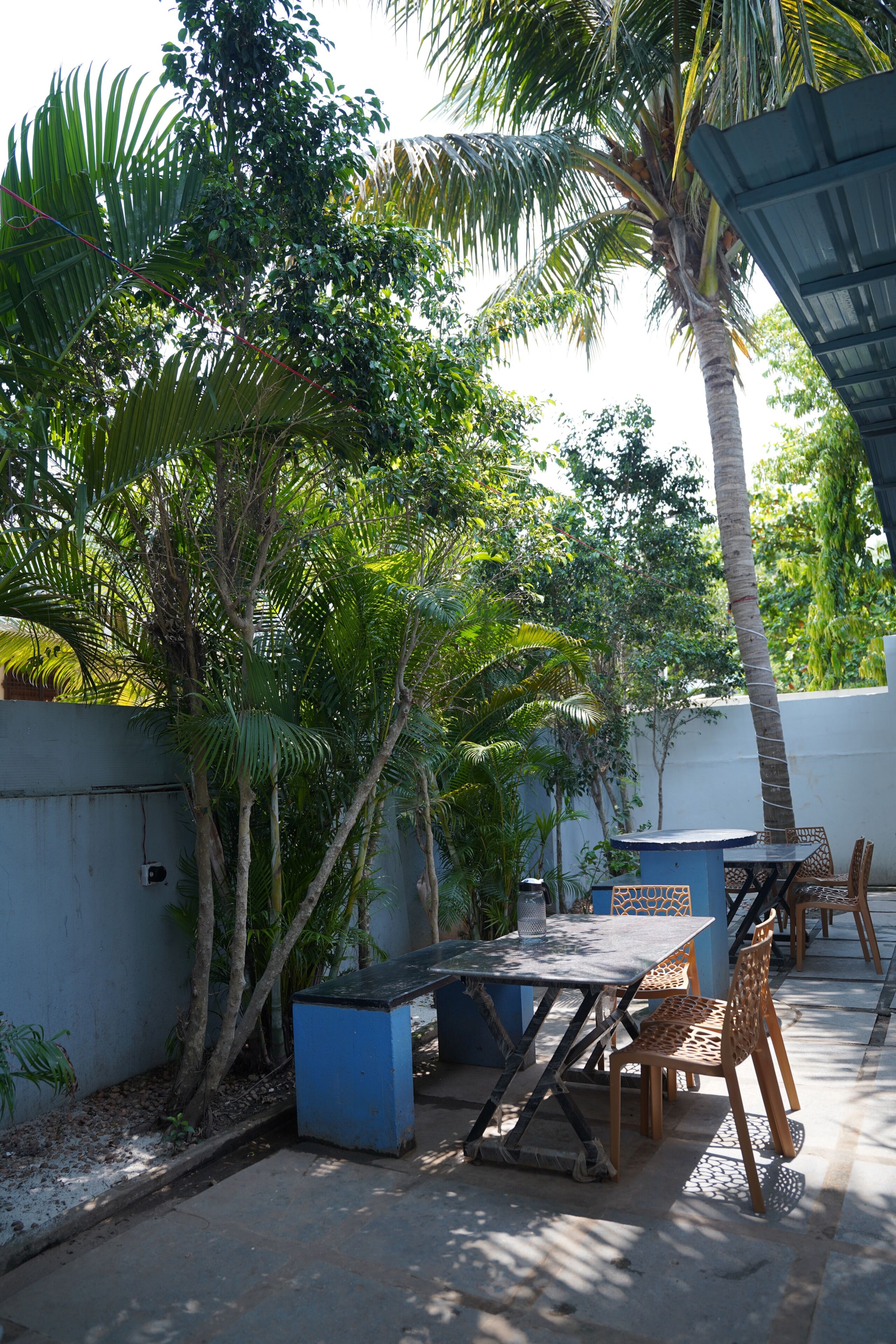 Un patio al aire libre con una mesa y sillas, rodeado de exuberante follaje y una palmera.