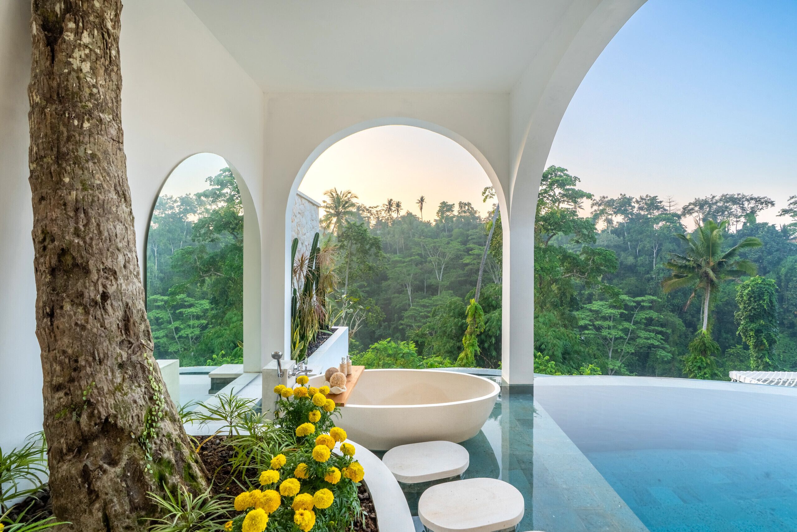 A modern infinity pool with a view of a lush forest.
