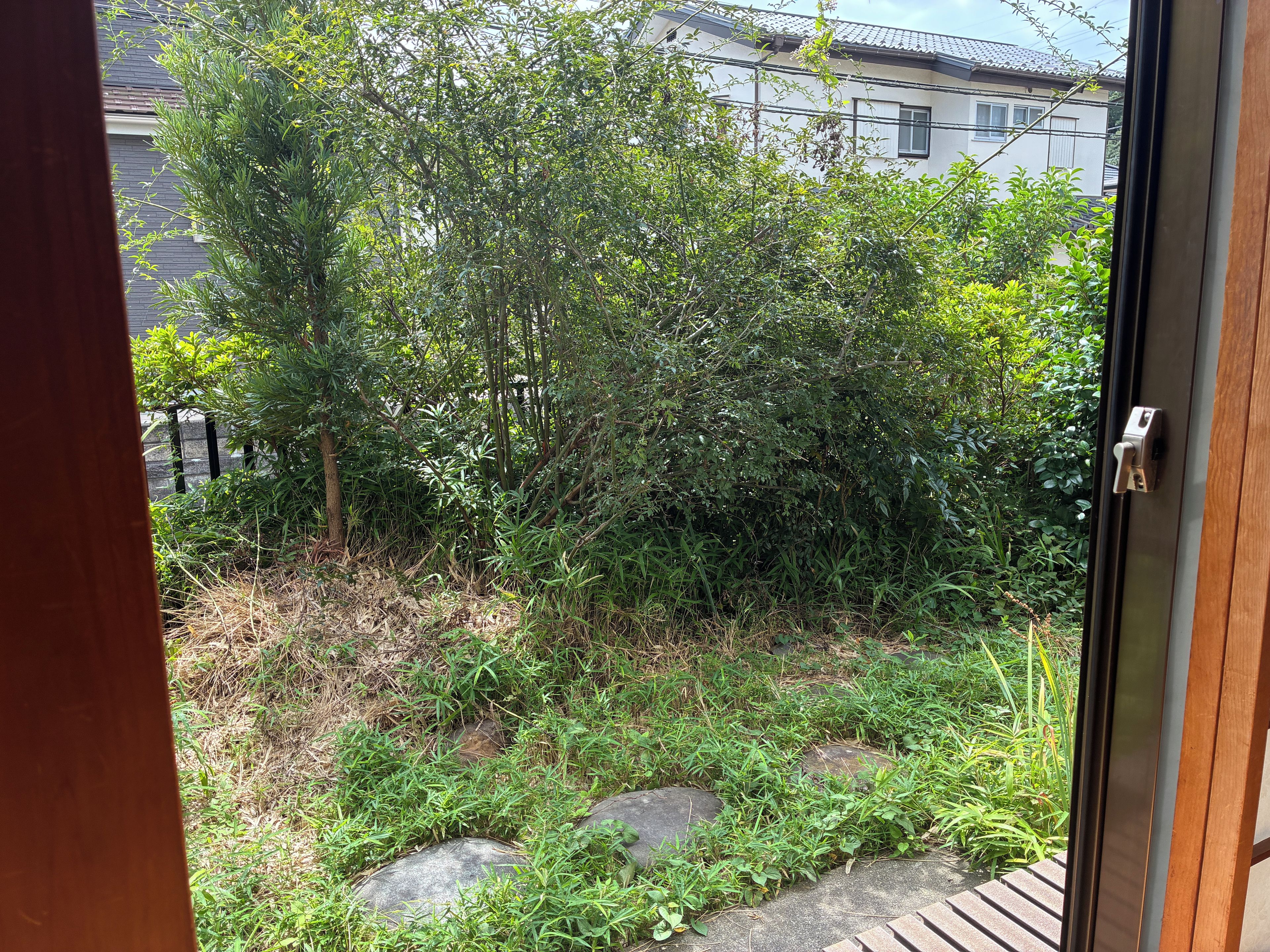A view through a door into a garden with dense foliage and a stone pathway.