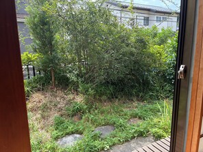 A view through a door into a garden with dense foliage and a stone pathway.
