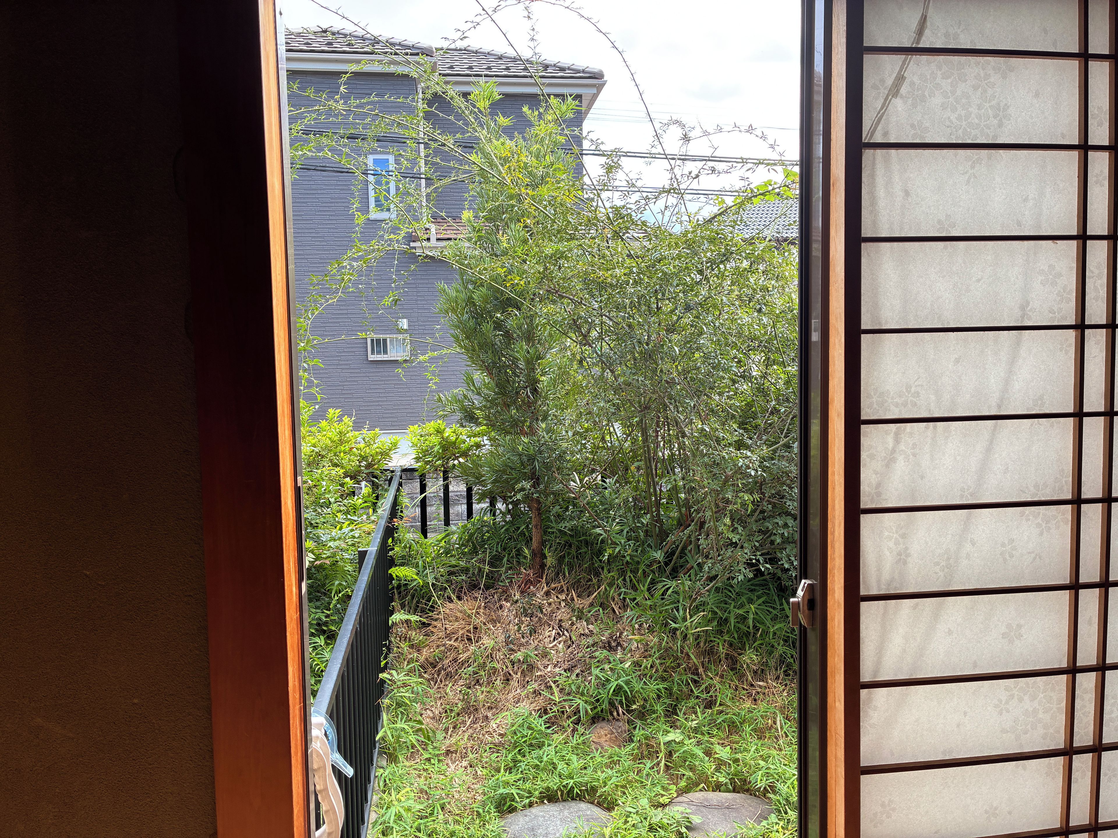 部屋からの景観