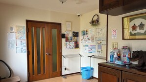 A room with a wooden door, a wall with various notices, a blue laundry basket, and a cat on the counter.