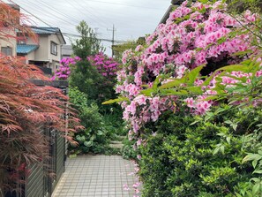 Un jardín con un sendero empedrado rodeado de plantas y flores diversas.