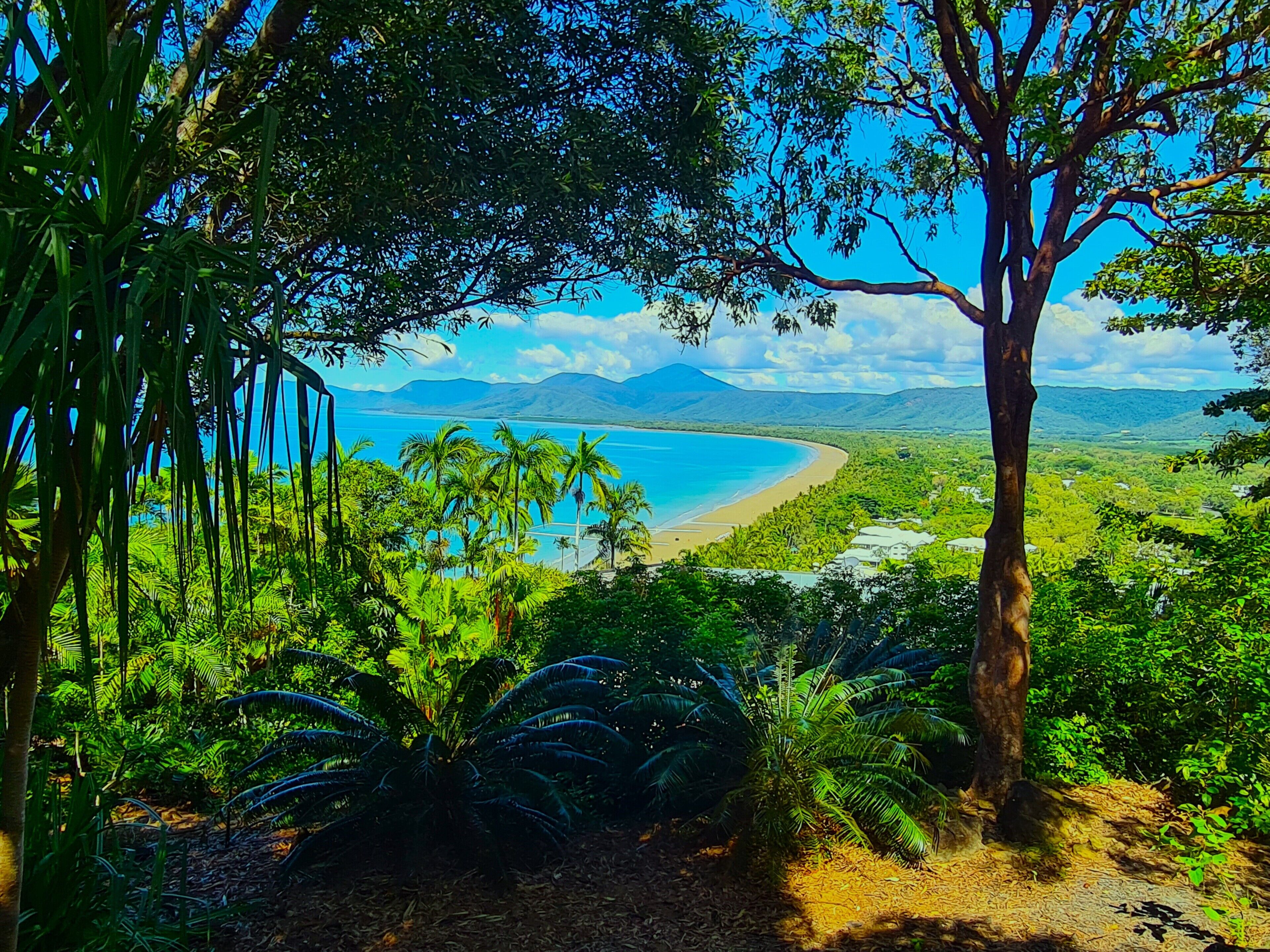 A tropical landscape with a beach, palm trees, and a mountain in the distance.