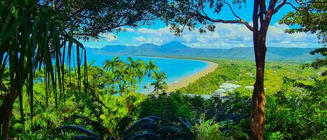 A tropical landscape with a beach, palm trees, and a mountain in the distance.