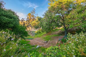 A garden with a variety of plants and trees, a dirt path, and a stone staircase.