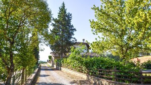 Property grounds - Awesome home in Monte San Savino with WiFi (Monte San Savino)