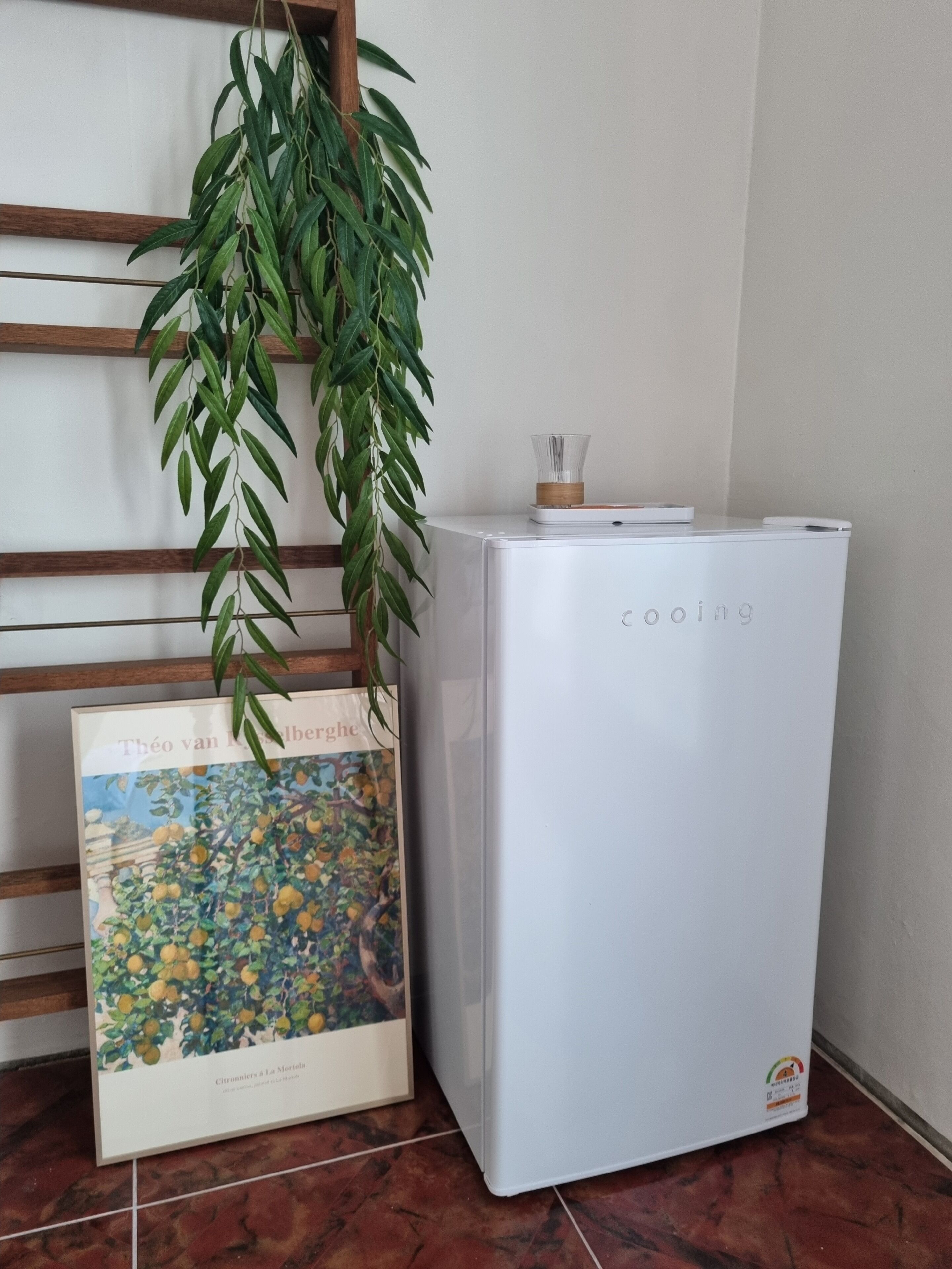 Un réfrigérateur blanc, avec une machine à café posée sur le dessus, une photo encadrée représentant des agrumes et une plante suspendue.