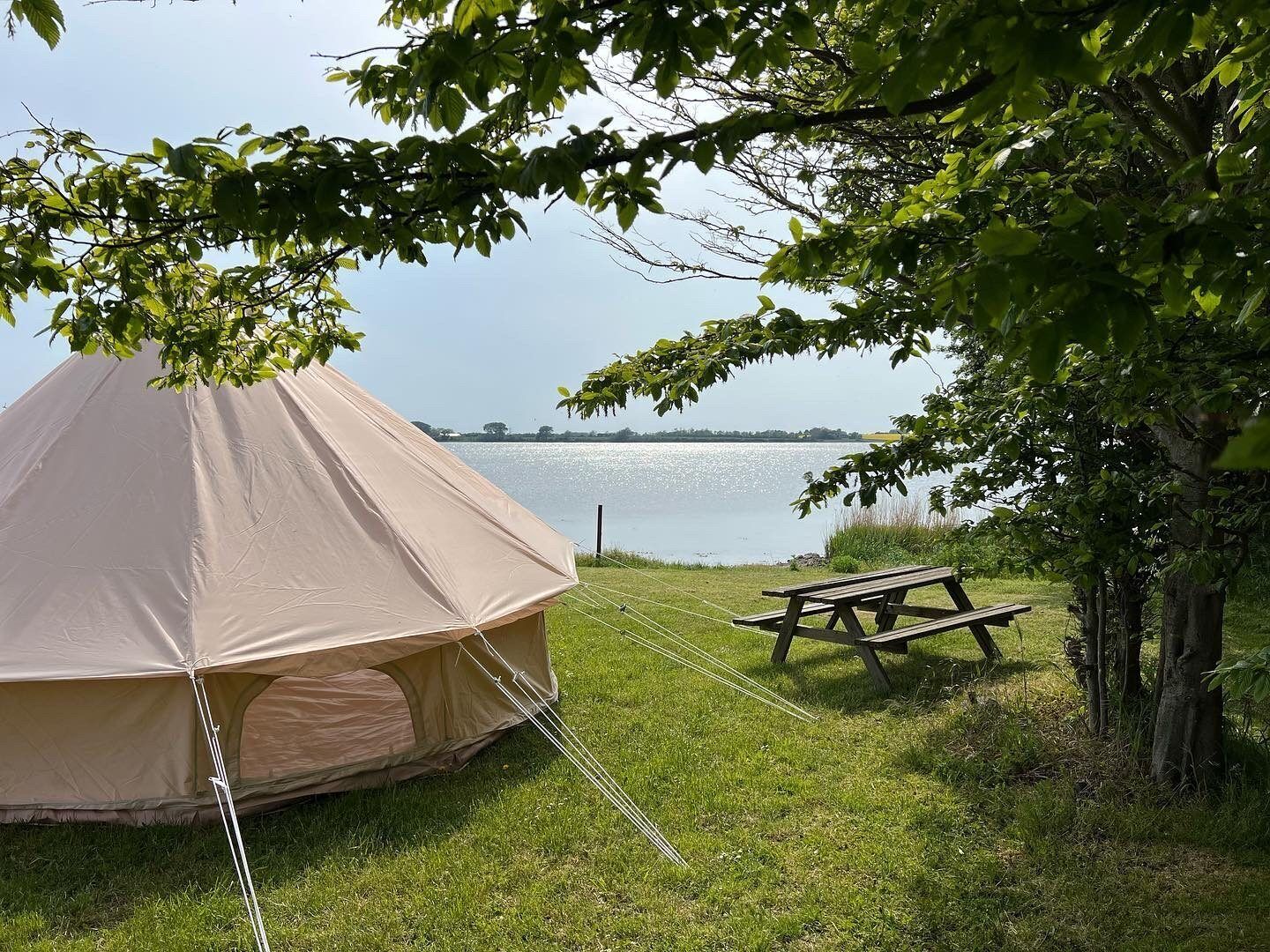 Et telt slået op på græsset nær et vand, med et picnicbord i nærheden.