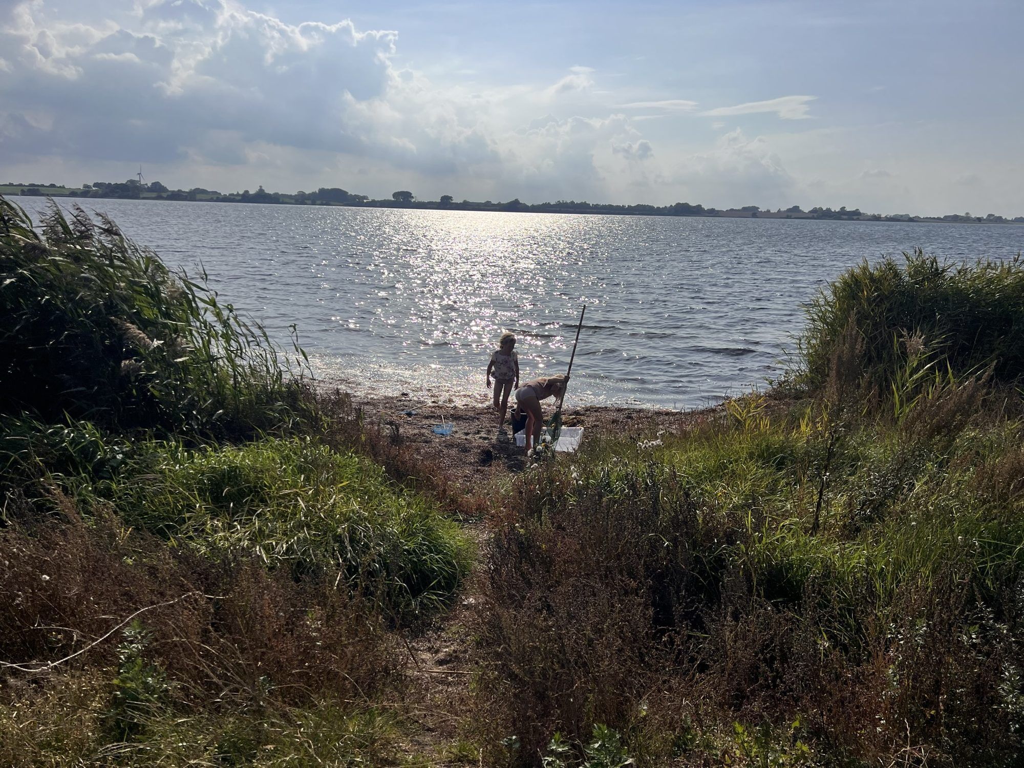 A natural landscape with a body of water, vegetation, and a distant wind turbine.