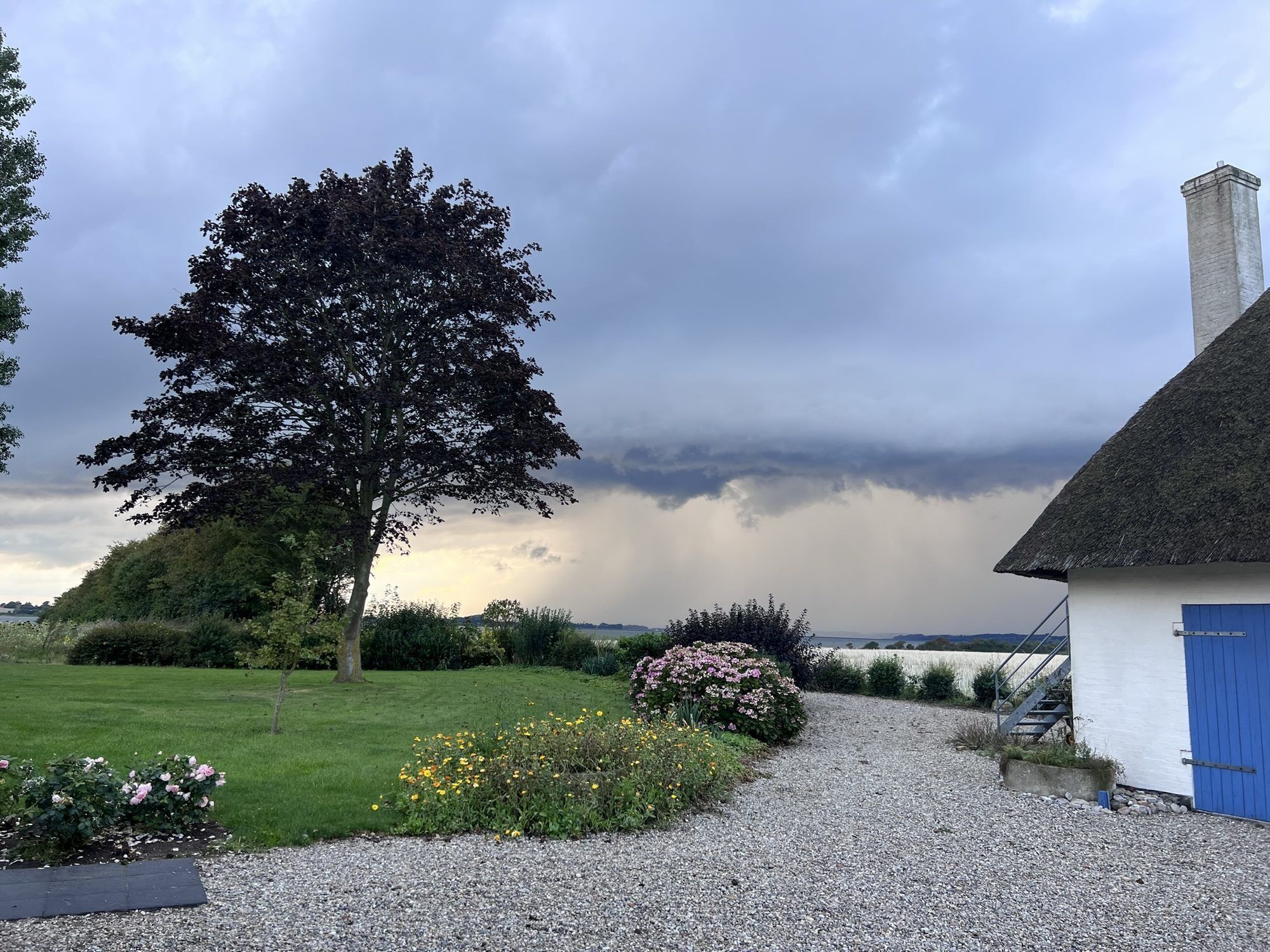 Landskab med grusvej, der fører hen til et hus med blå dør, omgivet af grønt og et stort træ.