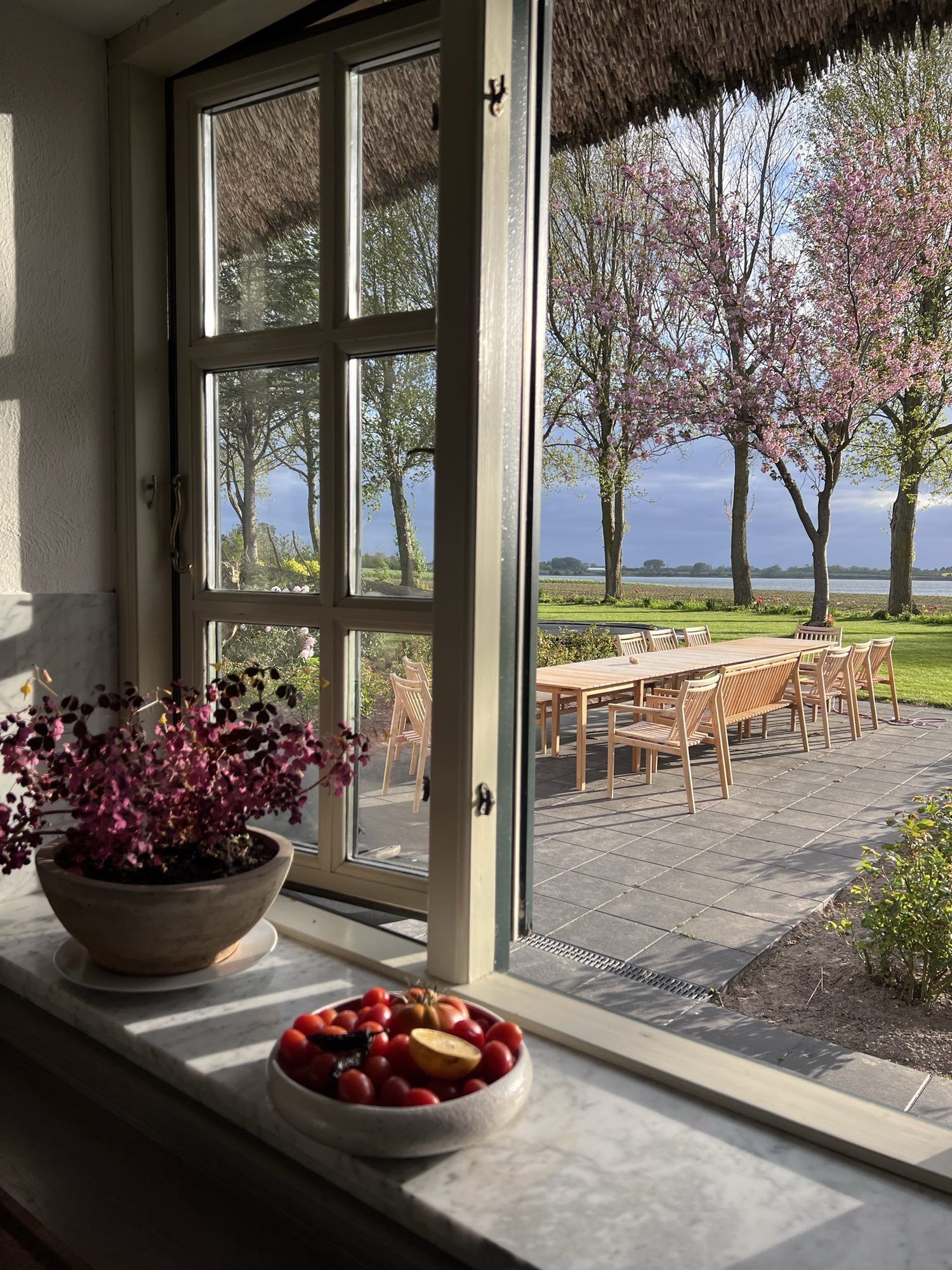 A window with a view of a garden and a table outside.