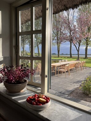 A window with a view of a garden and a table outside.