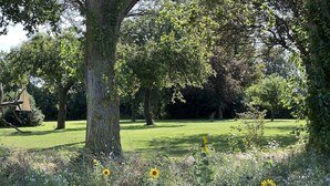 A park with trees, grass, and wildflowers.