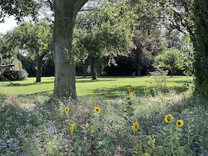 A park with trees, grass, and wildflowers.