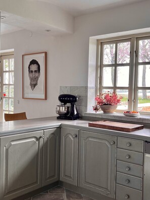A kitchen with a marble backsplash, a stand mixer, a potted plant, and a framed portrait on the wall.