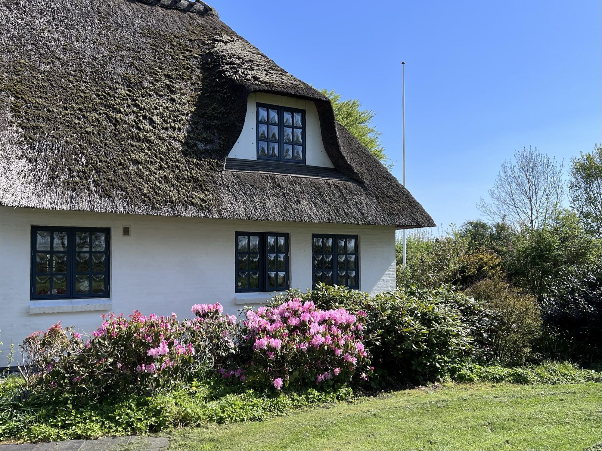 A traditional thatched-roof house with a white exterior and multiple windows.