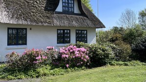 A traditional thatched-roof house with a white exterior and multiple windows.
