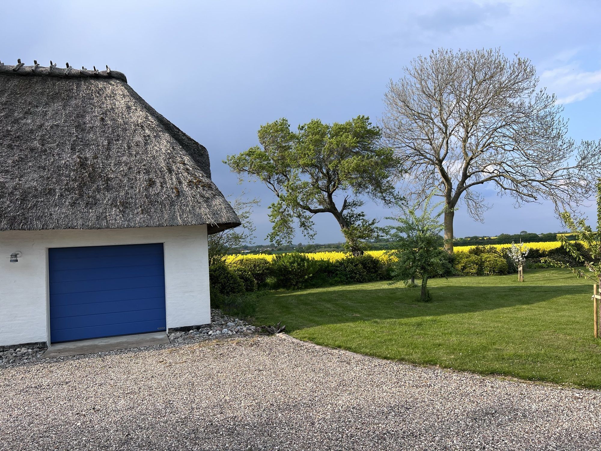 A house with a thatched roof and a blue garage door, surrounded by a well-maintained lawn and a field of yellow flowers.