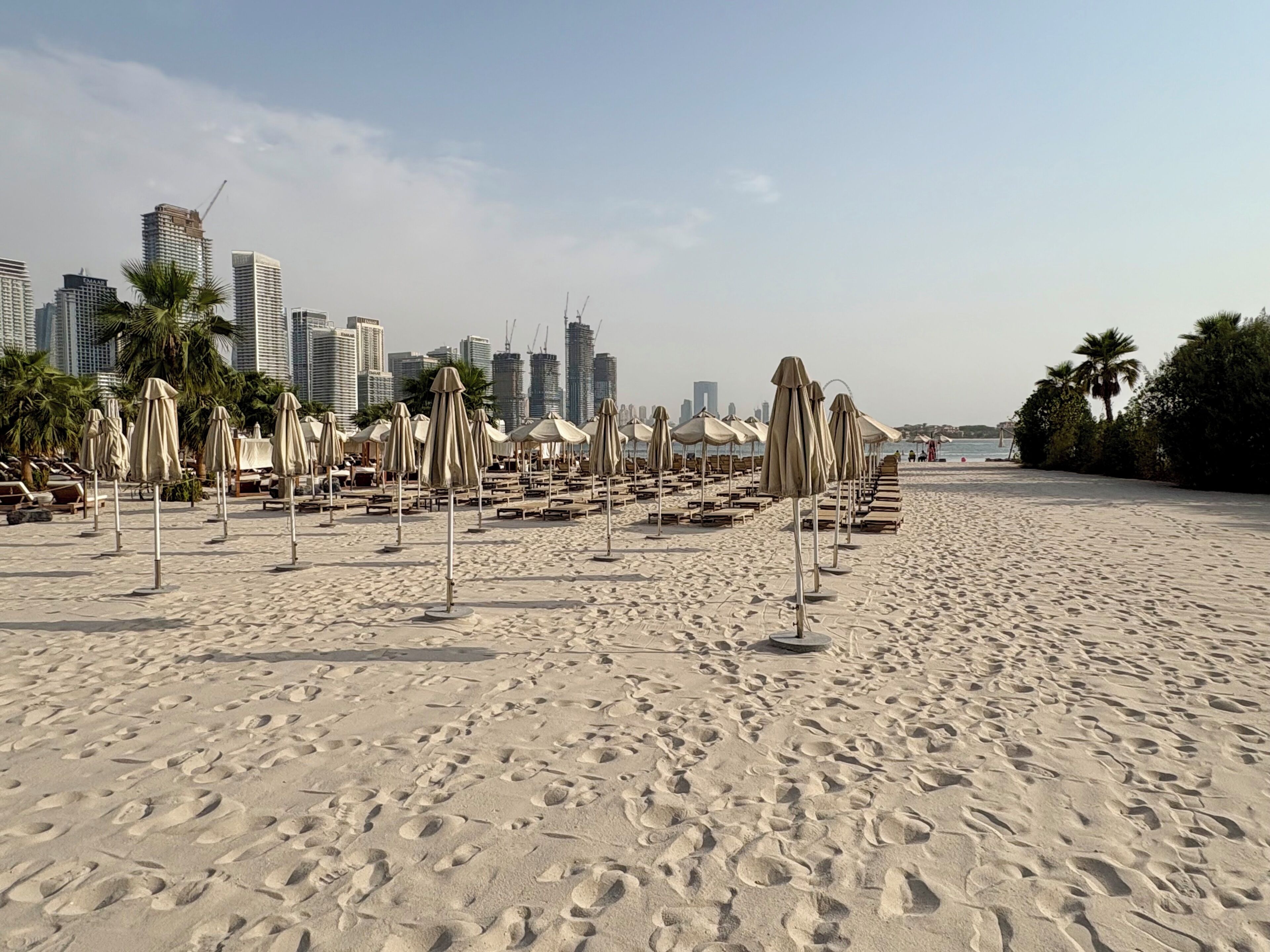 A beach with rows of sun loungers and umbrellas, a city skyline in the background, and palm trees.