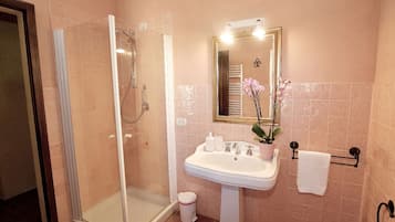Shower, hair dryer, bidet, towels