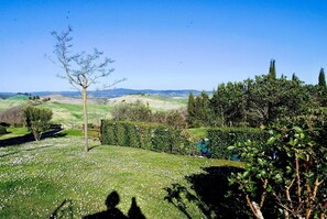 A rural landscape with rolling hills, a clear sky, and a variety of vegetation including trees and shrubs. - Apartment in Piazza del Campo area 3 bedrooms 2 bathrooms (Asciano)