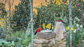A garden with a stone fountain, birds, and various plants.