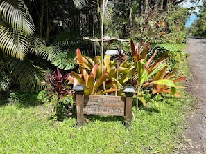 Property grounds - Tropical Getaway! Jungle Stay! Central Spot for Volcanos & Black Sand Beaches! (Pāhoa)