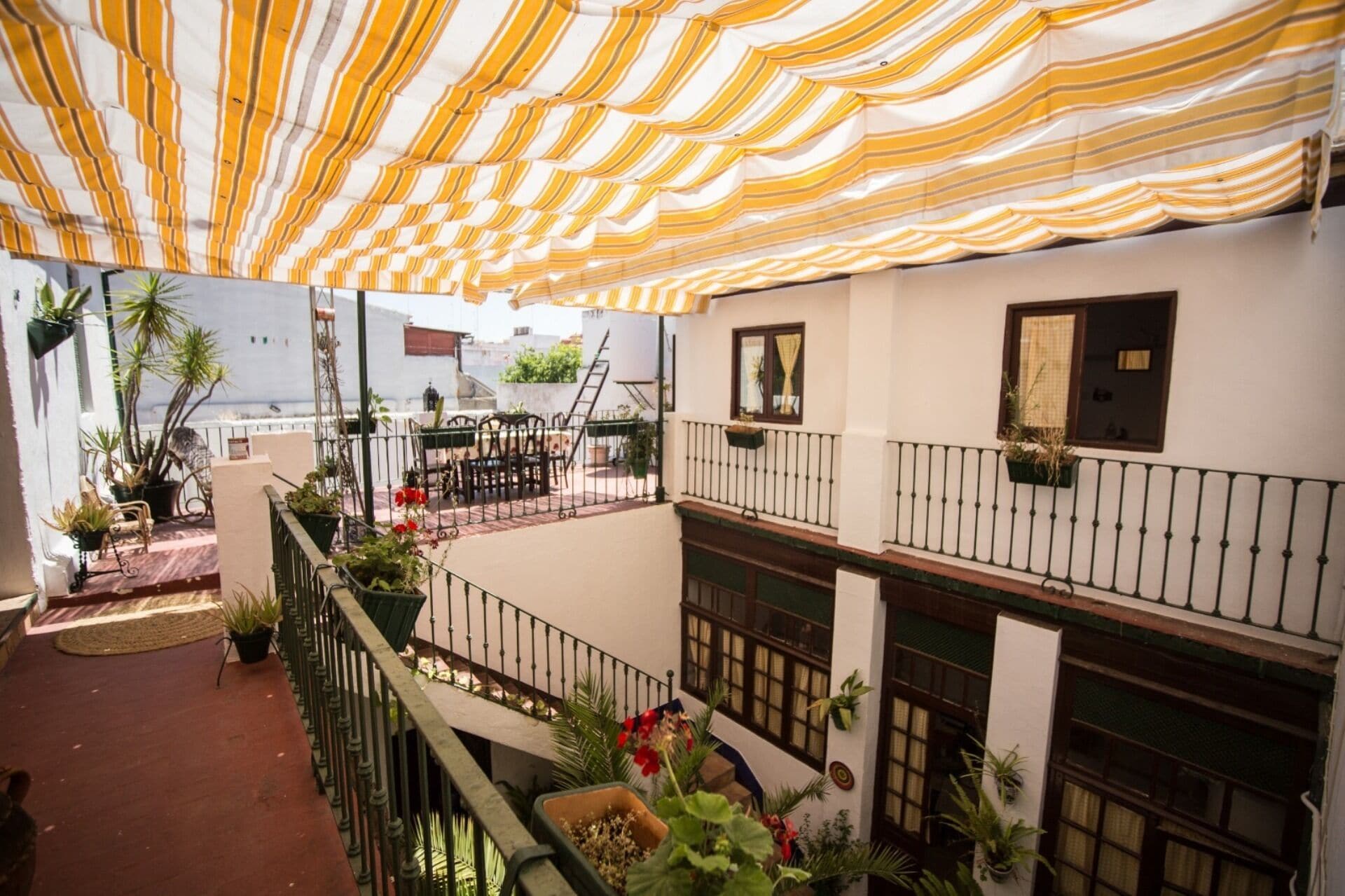 Habitación cuádruple familiar, patio | Terraza o patio