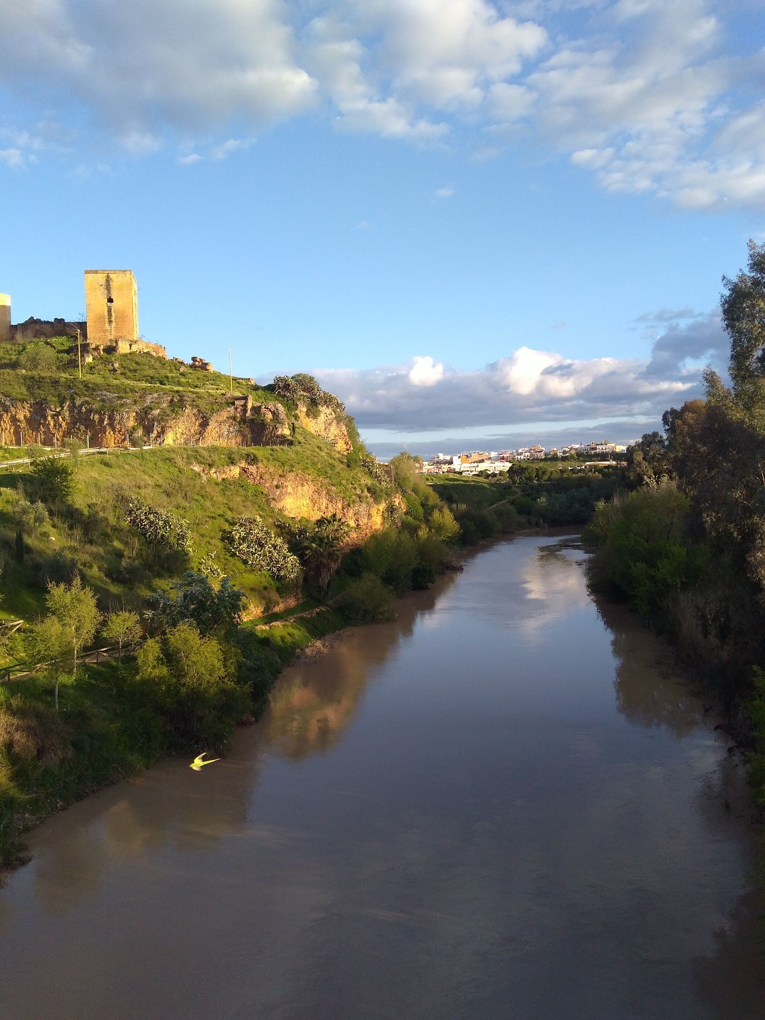 Un fiume con un castello su una collina, circondato da vegetazione e un cielo sereno.