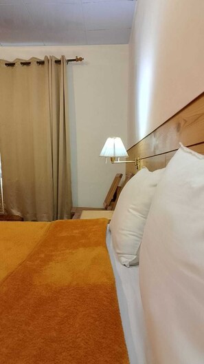 Premium Room | Desk, WiFi (free) - Hotel Mahay Palace (Leh)