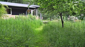 A house with a covered porch and a garden with tall grass. - A Charming Vacation Home Gem: Outdoor Amenities on the Property and a Beach Nearby (Kulhuse)