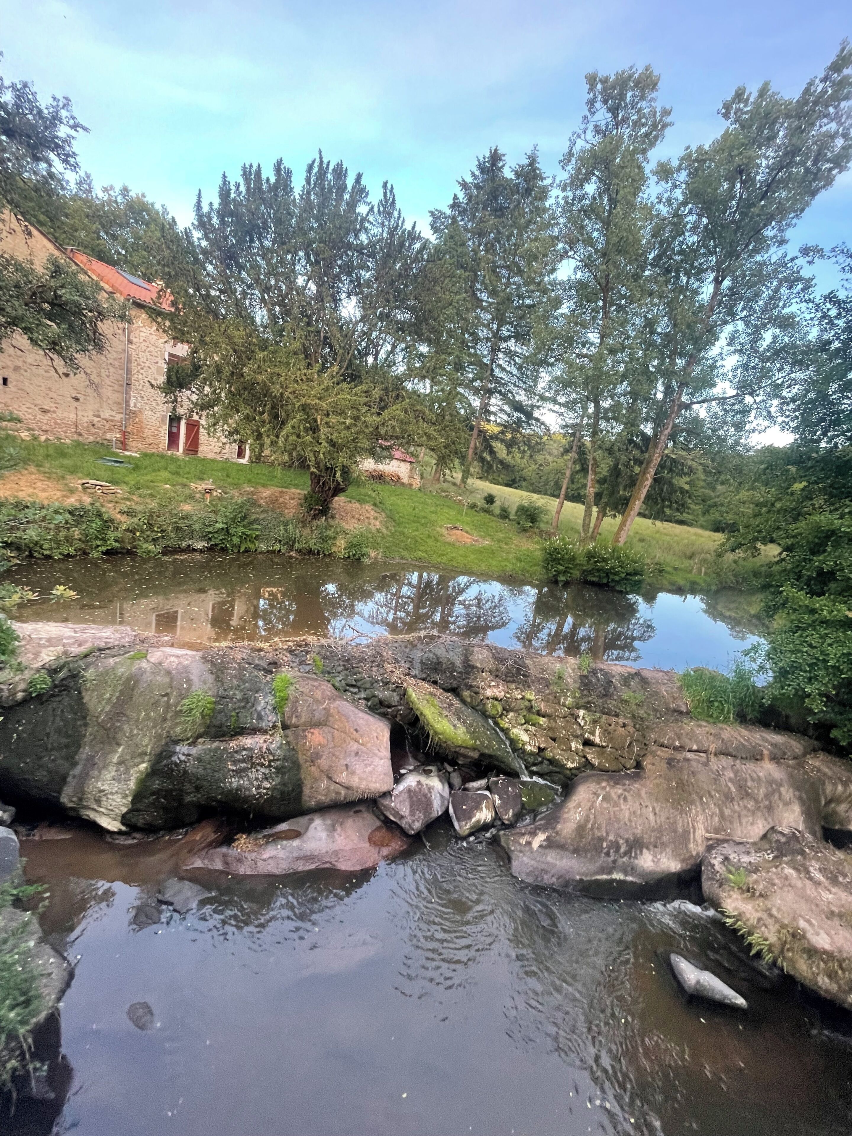 En naturlig landskap med en bäck, stenar och träd.