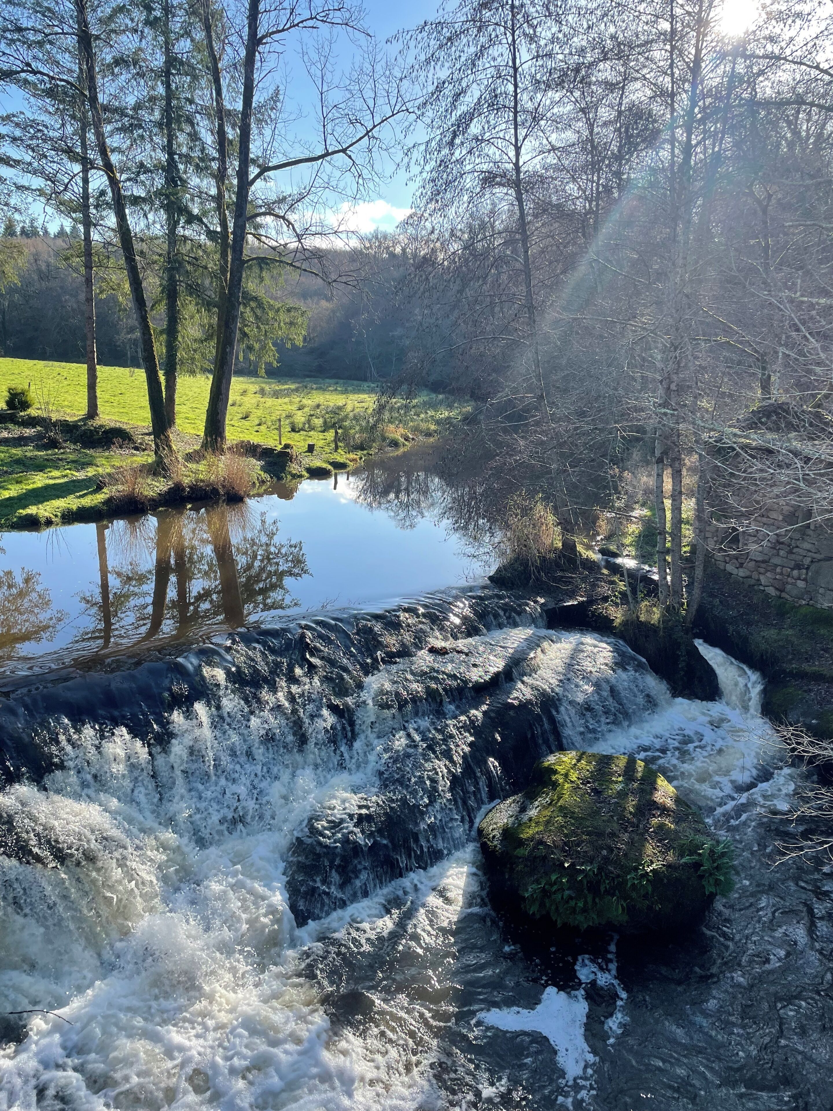 A natural landscape with a waterfall, trees, and a body of water.